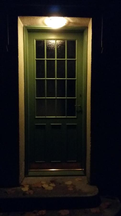 Studio Apartment - Green Door Záhřeb Exteriér fotografie